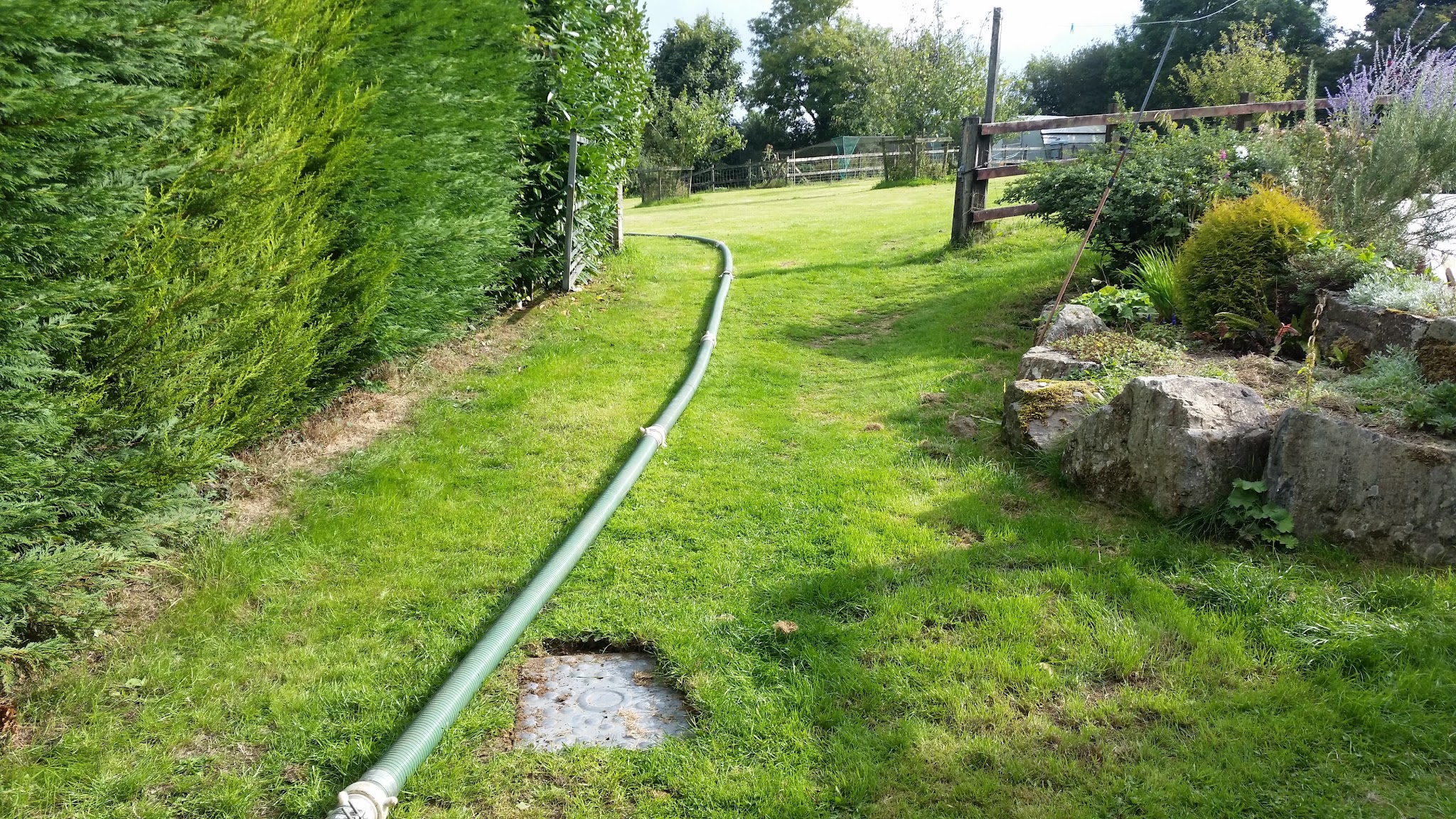 The tanker hose laid across a garden lawn to a septic tank lid