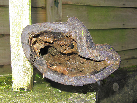 A collapsed and blistered section of pitch fibre pipe